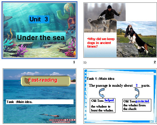 Unit3 Under the sea  Old Tom the Killer Whale μͼ