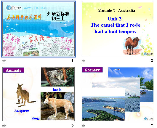 Module 7  Australia Unit 2 The camel that I rode had a bad temper μͼ