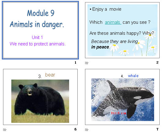 Module 9 Animals in danger  Unit 1 
We need to protect animals μͼ