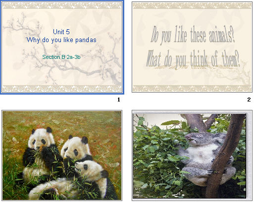 Unit 5 Why do you like pandas? Section B 2a_2c μͼ