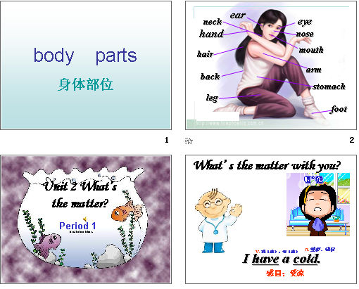 Body parts μͼ