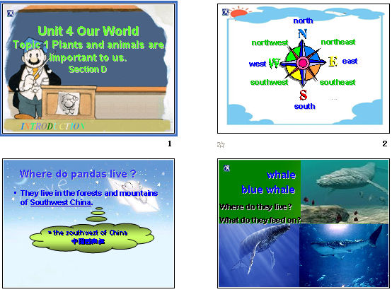 Unit 4 Our World Topic 1 Plants and animals are important to Section D μͼ