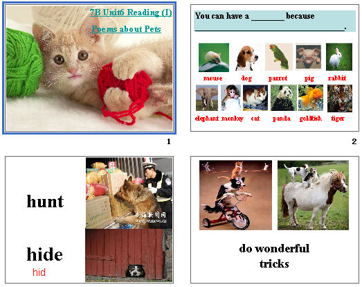 7B Unit6 Reading (I) Poems about Pets
 μͼ