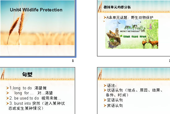 Unit4 Wildlife Protection μͼ